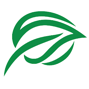 The Citizens Foundation (TCF) logo